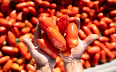 Cosa è cambiato nel marketing food negli ultimi 5 anni